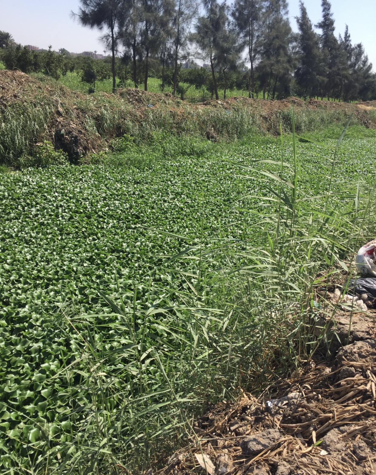 C518637A-526E-487B-849C-D5A210335B7C