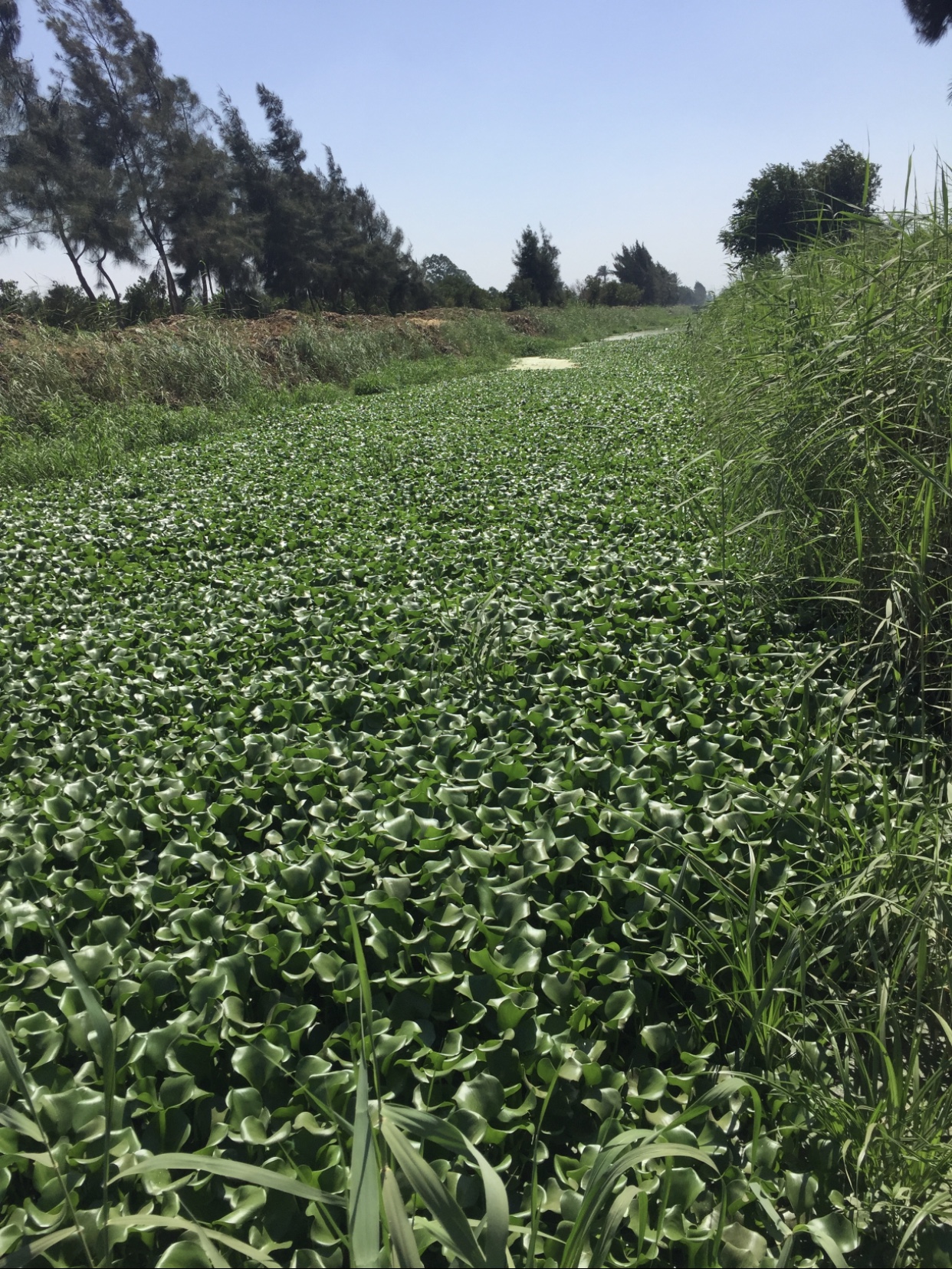 977EC5BB-2774-4C4A-BE2D-8097C3C5C00F