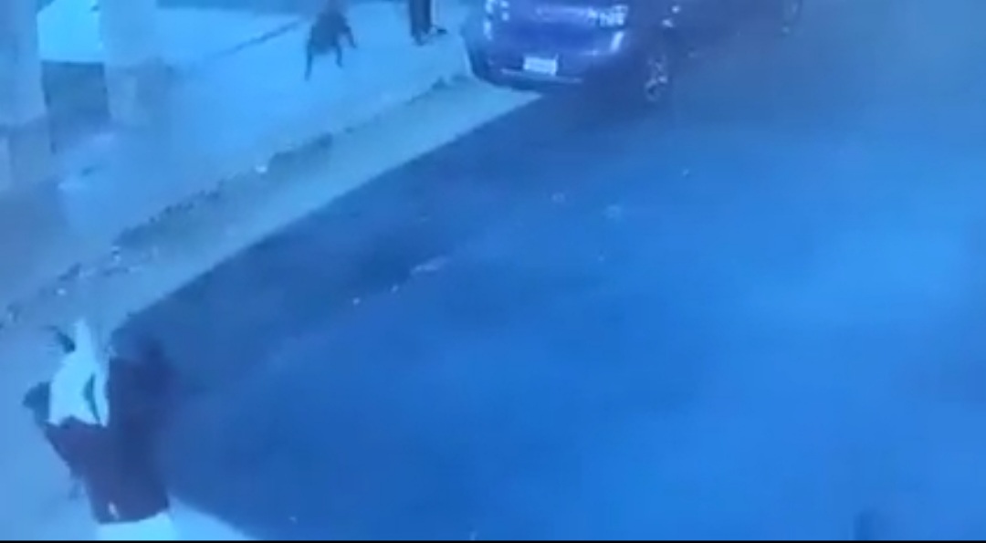 ٢٠٢١٠٤٠٨_٠١٠١٤٨