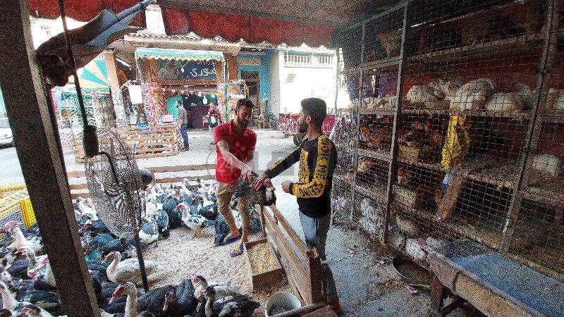 ٢٠٢١٠٤٠٦_١٥٥٤٢٩_copy_800x450