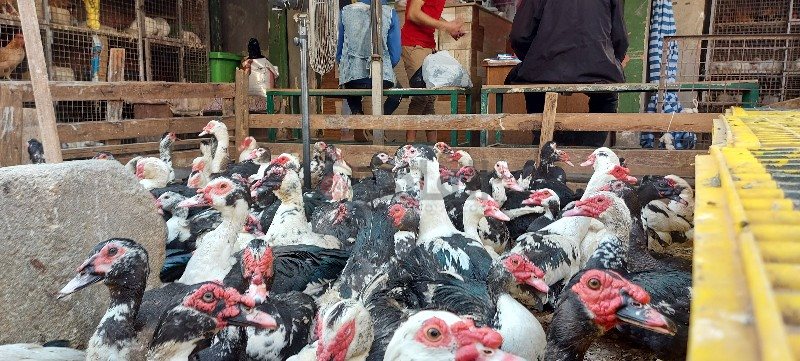 ٢٠٢١٠٤٠٦_١٥٥٢٣١_copy_800x361