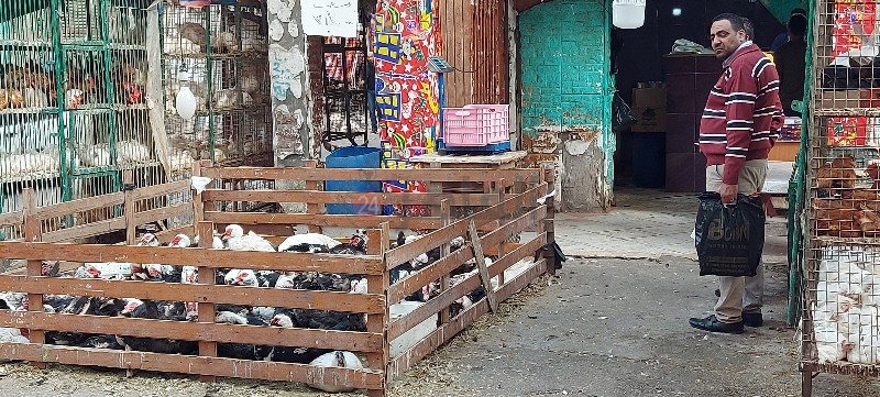 ٢٠٢١٠٤٠٦_١٥٥٨١١_copy_800x361