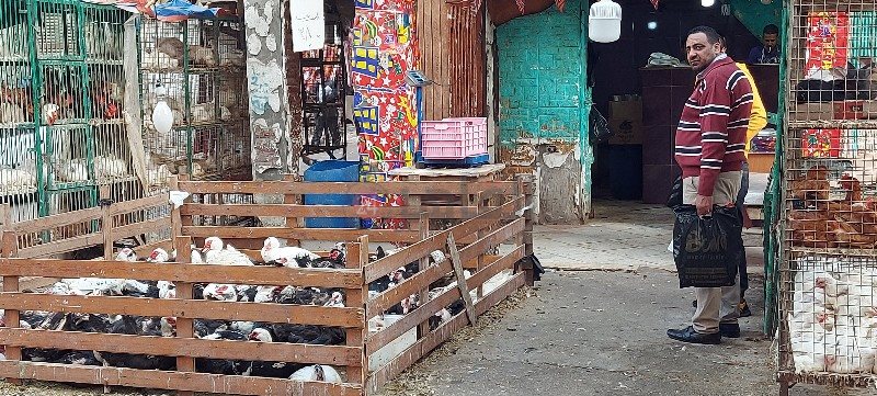 ٢٠٢١٠٤٠٦_١٥٥٨٠٨_copy_800x361