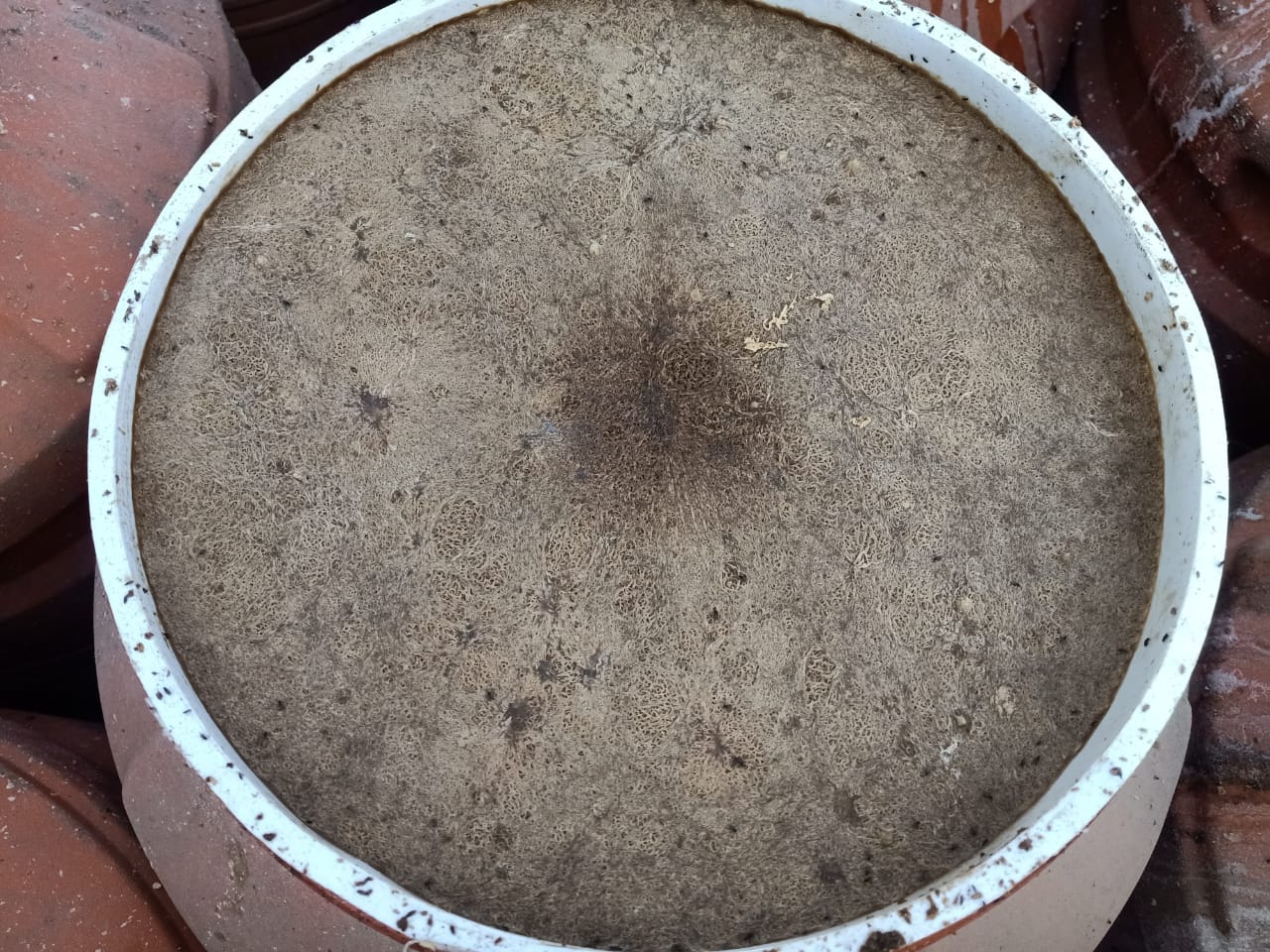 b55d36b3-e673-4ffa-9775-0da6f50a9161