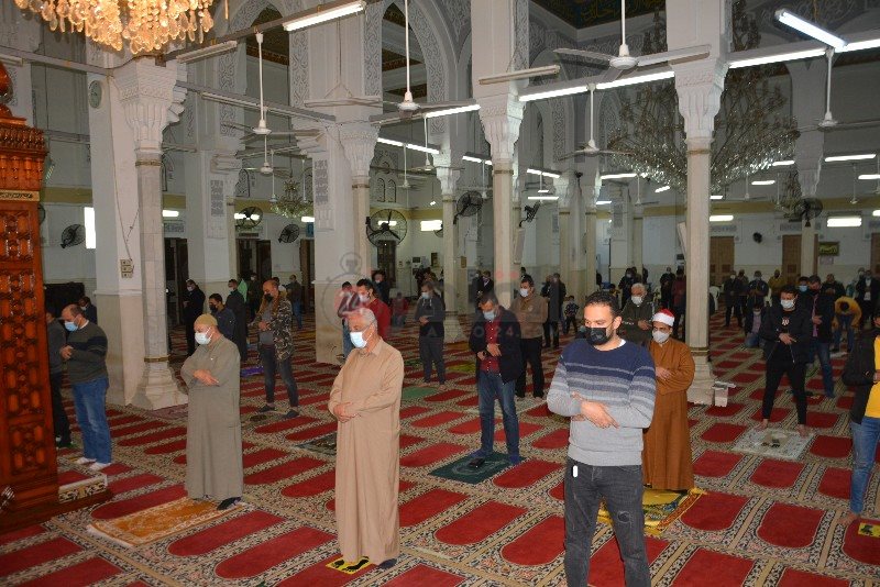 DSC_0230_copy_800x534_2