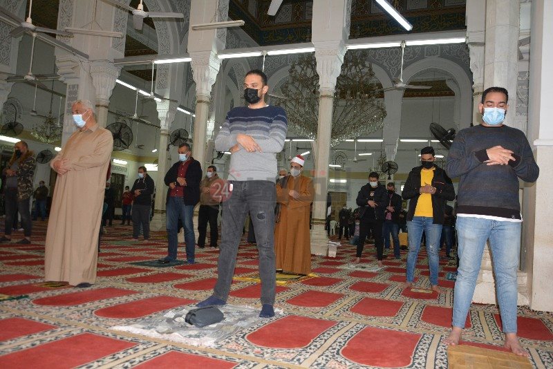 DSC_0233_copy_800x534_2