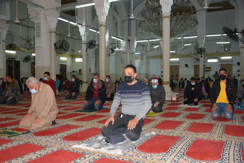 DSC_0237_copy_800x534_2