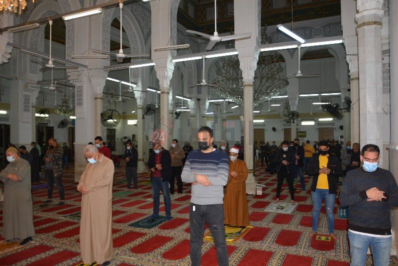 DSC_0226_copy_800x534_2