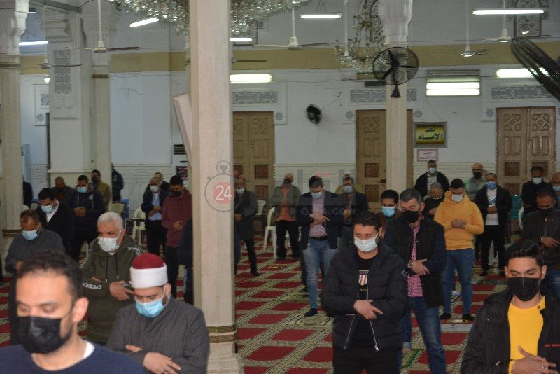 DSC_0239_copy_800x534_2