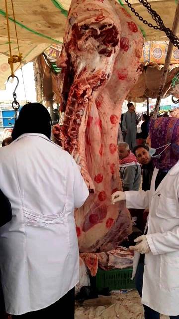 تم سحب عينات لتحديد صلاحيتها 2