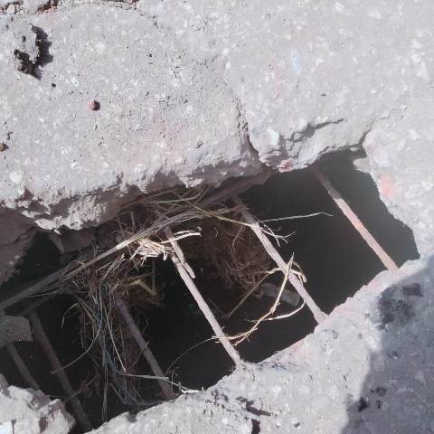 انهيار لكوبري وتلبيه شكوى ببلبيس1