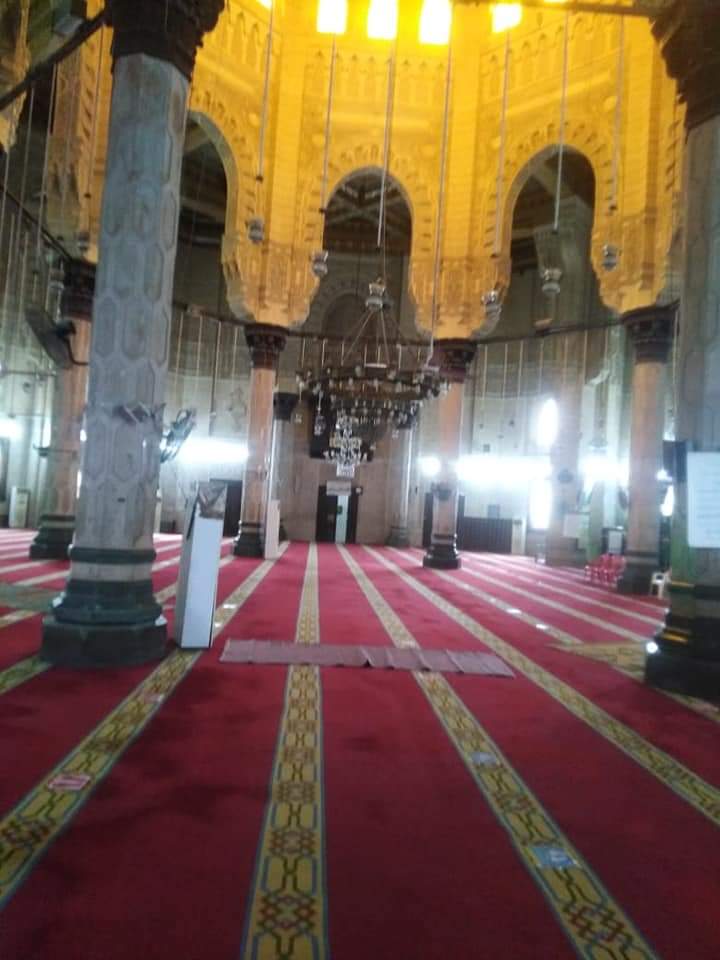 FB_IMG_1618536542035