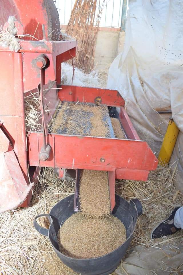 FB_IMG_1618578420763