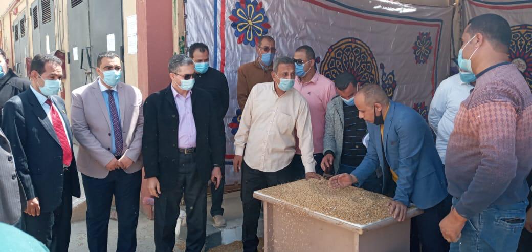 توريد القمح بنطاق محافظة الفيوم