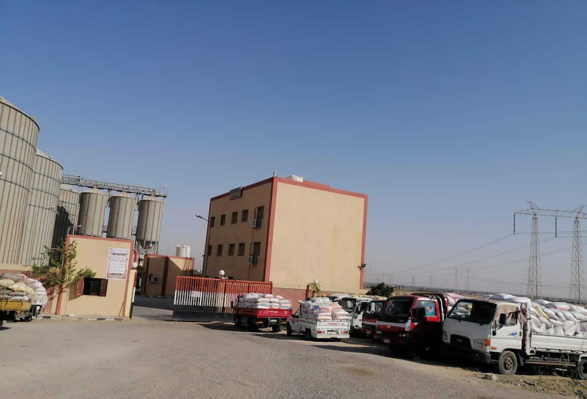 جانب من توريد الذهب الأصفر في نطاق الفيوم