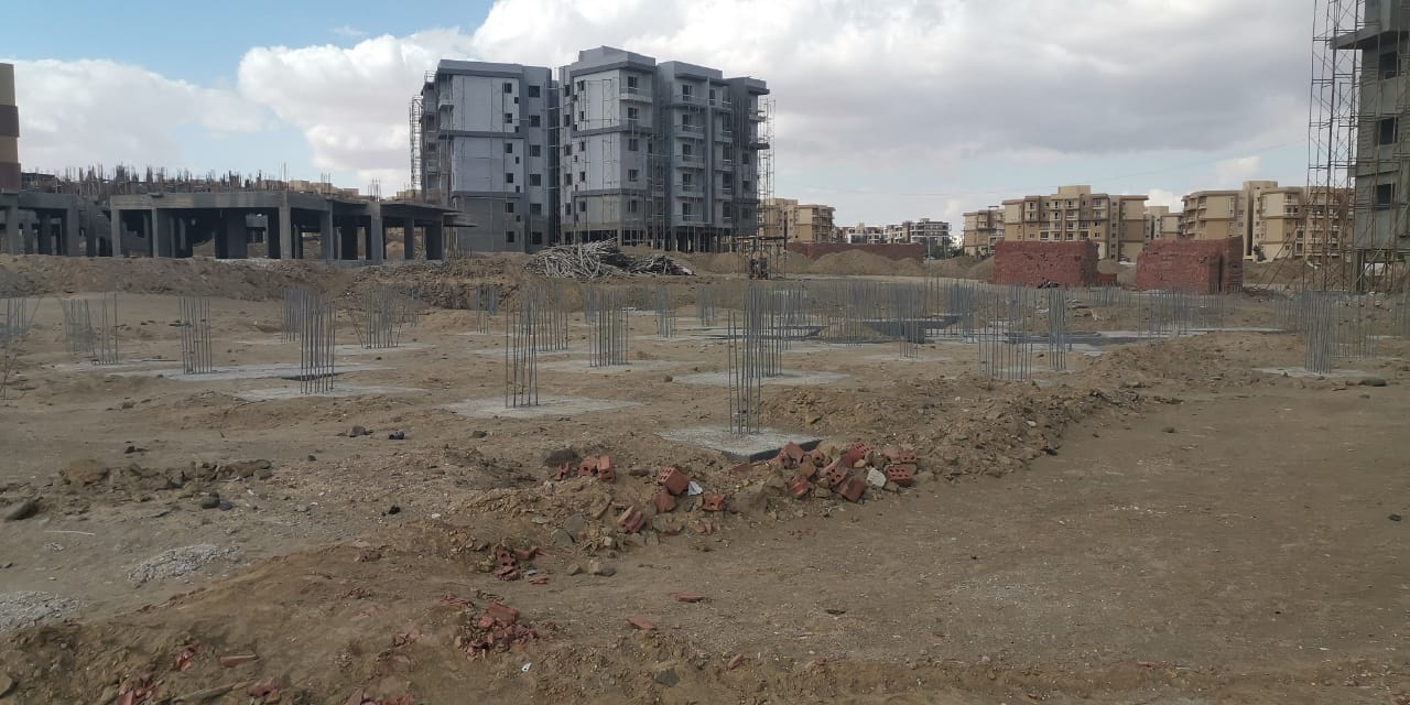 أشجار سيتي10