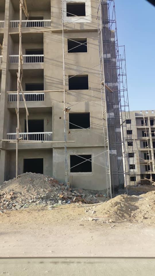 أشجار سيتي9