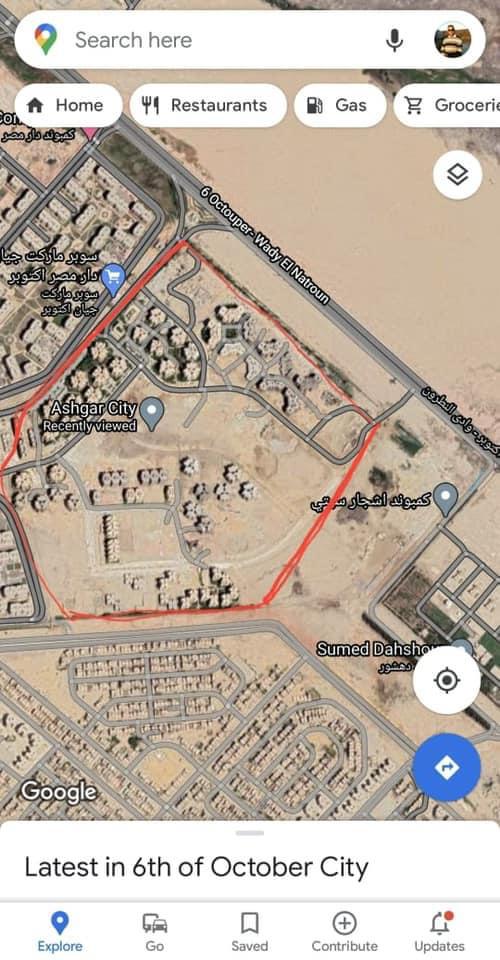 أشجار سيتي7