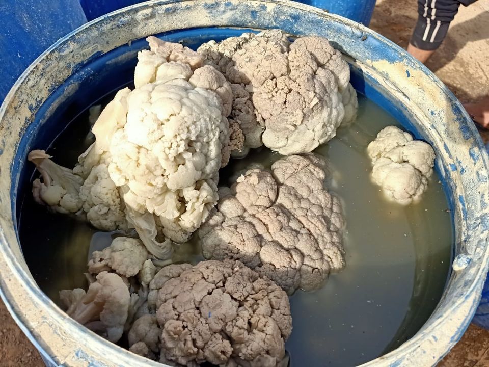 أغذية فاسدة 05.