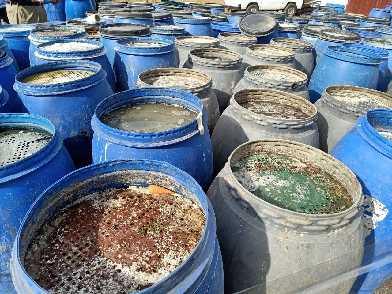 أغذية فاسدة 06.