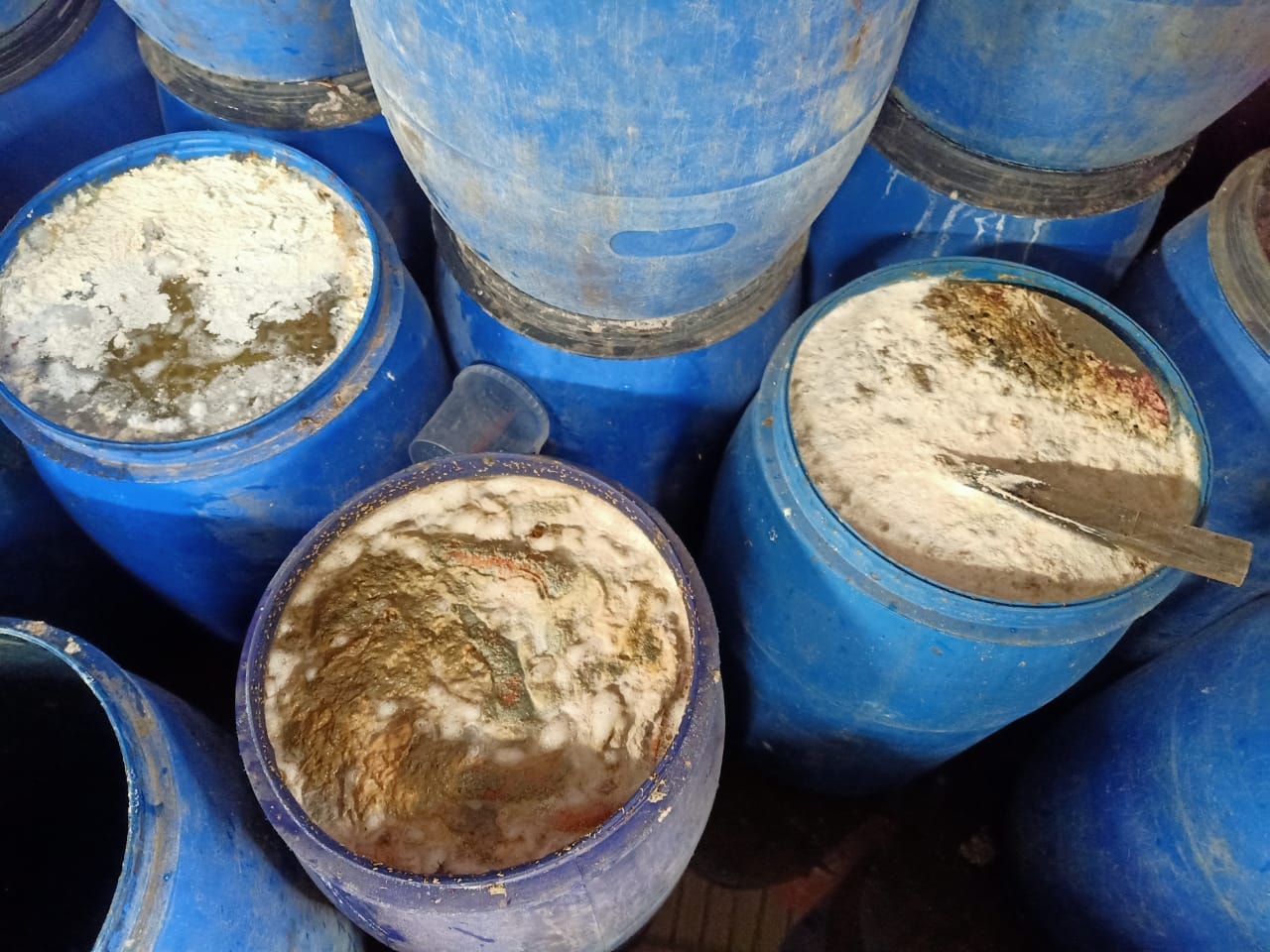 أغذية فاسدة 08.