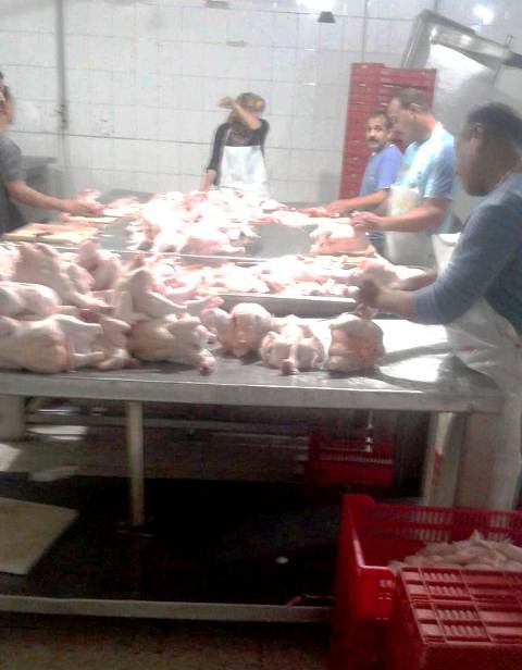 مجزر دواجن مخالف بالشرقية