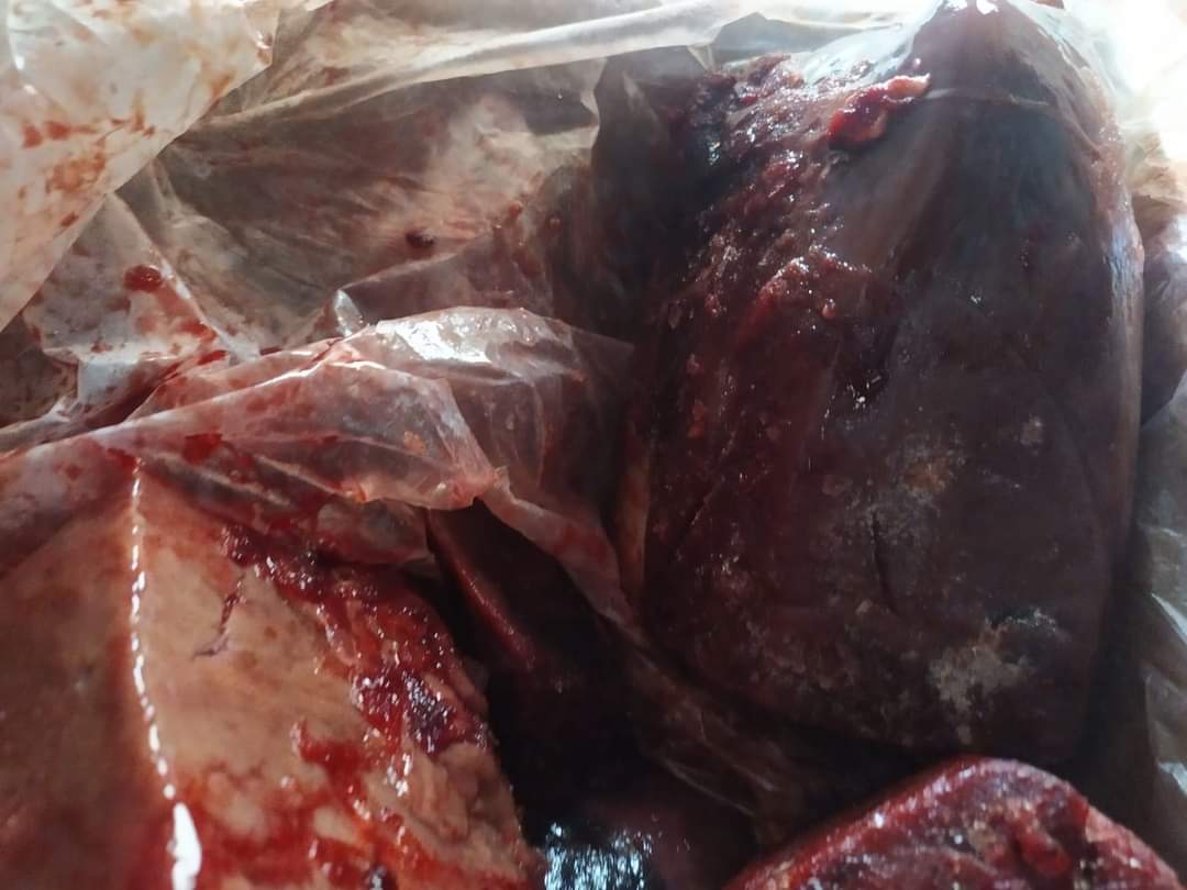 ضبط لحوم وكبدة غير صالحة للاستهلاك الآدمي بالفيوم