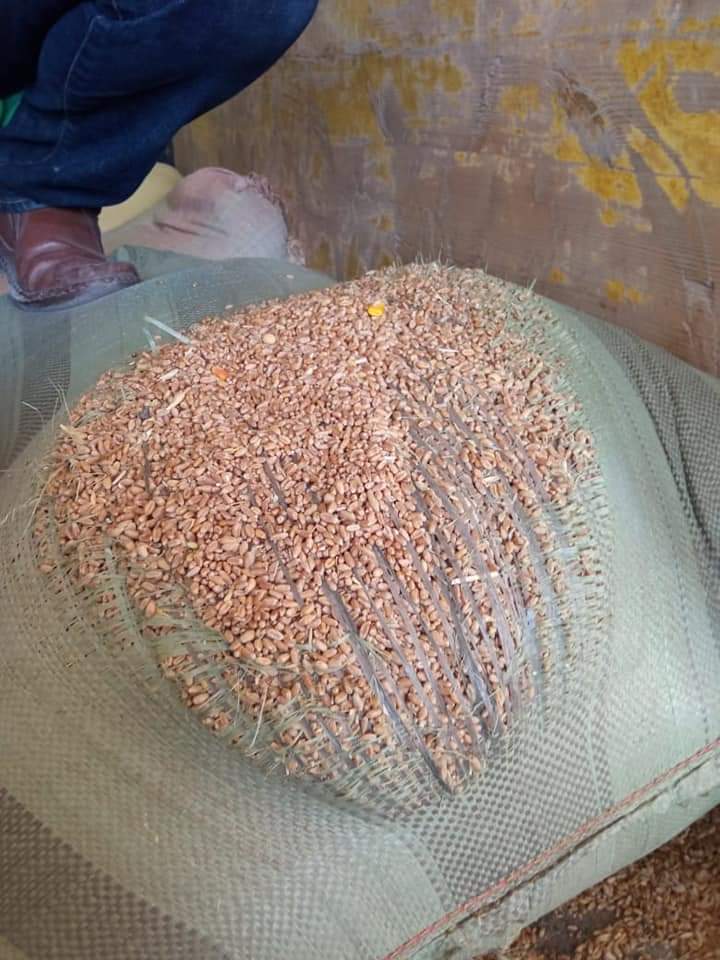 FB_IMG_1619623494873