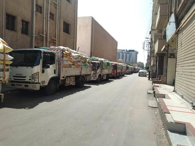 حصاد القمح في الشرقية 02