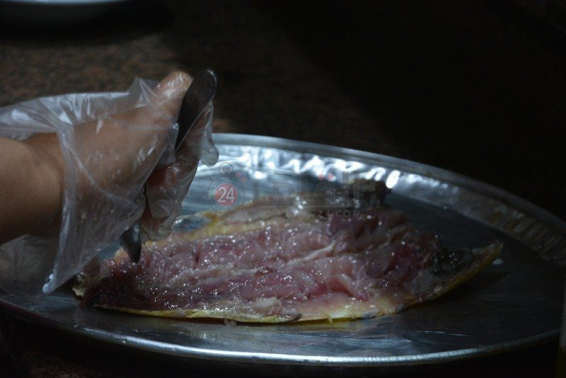 DSC_0318_copy_800x534_2