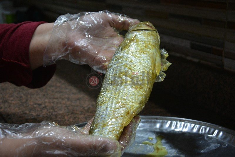 DSC_0327_copy_800x534_1