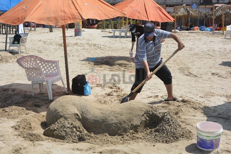 DSC_0333_copy_800x534_1