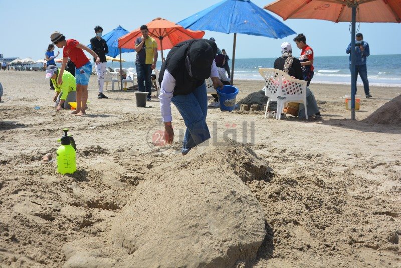 DSC_0338_copy_800x534_1