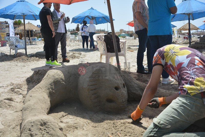 DSC_0343_copy_800x534