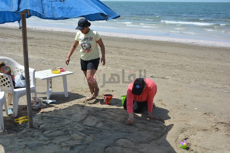 DSC_0353_copy_800x534_1