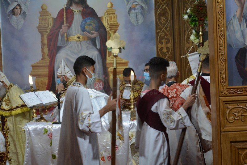 DSC_0389_copy_800x534_2