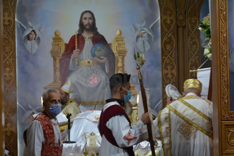 DSC_0388_copy_800x534_2