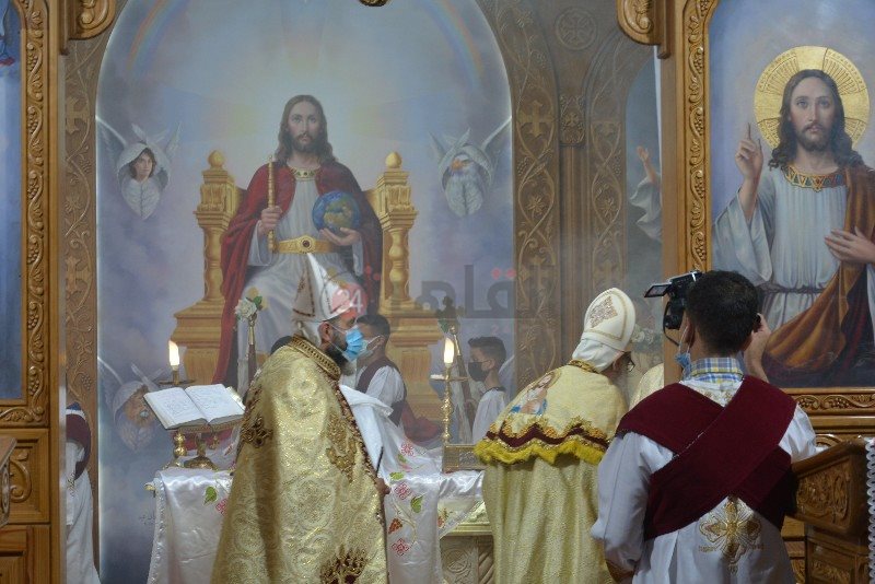 DSC_0392_copy_800x534_2