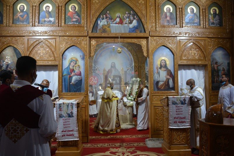 DSC_0391_copy_800x534_2