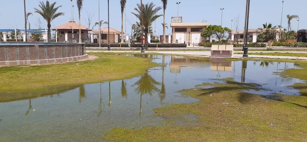 FB_IMG_1619967359476