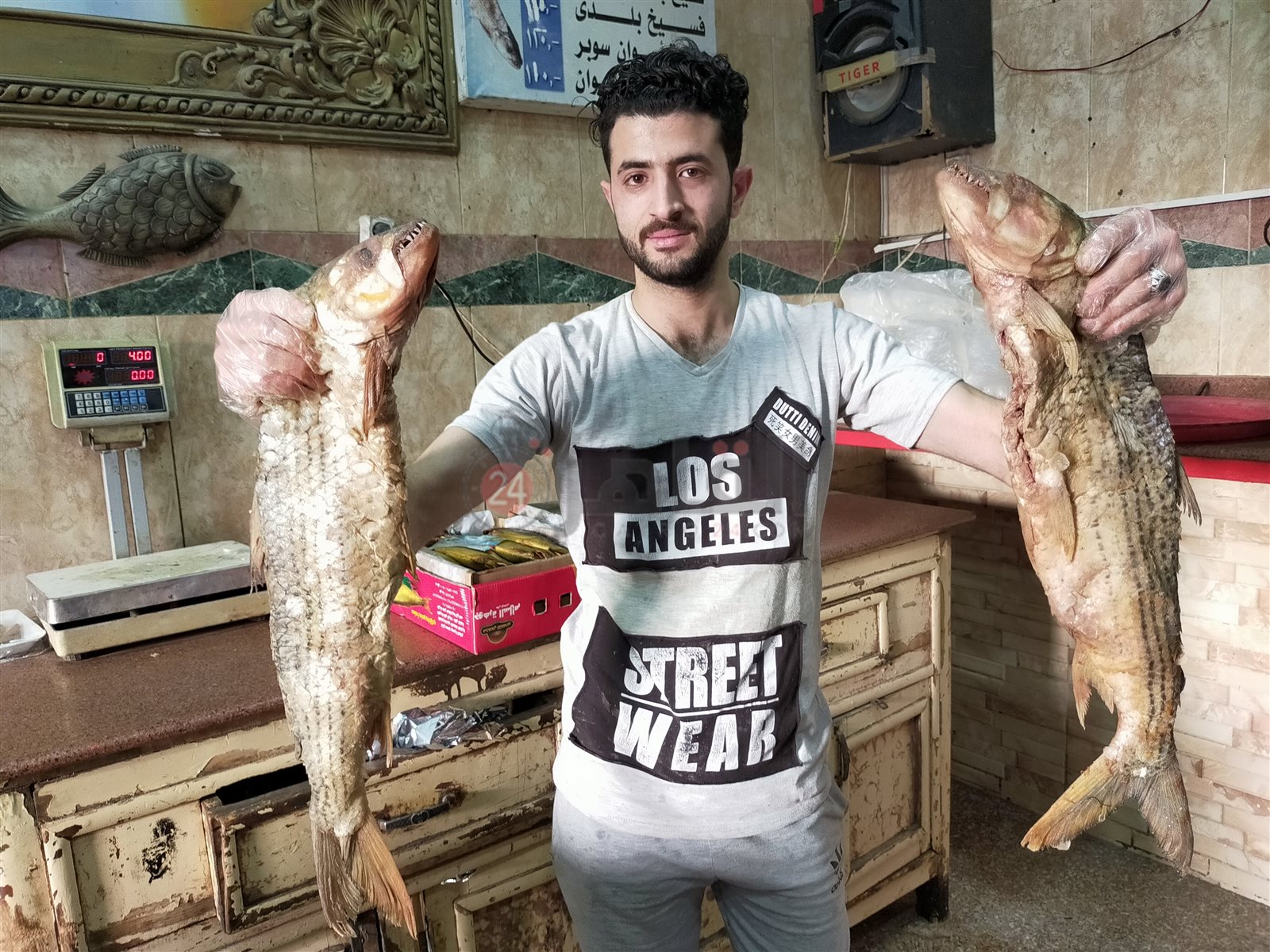 استعدادات الدمايطة في الفيوم بشم النسيم