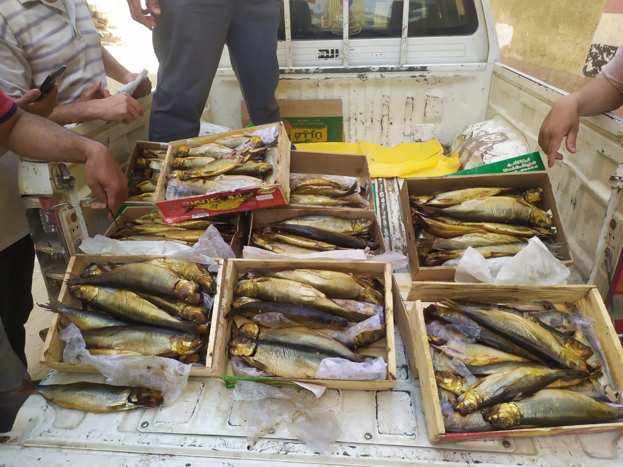 ضبط فسيخ ورنجة غير صالح للاستهلاك الآدمي