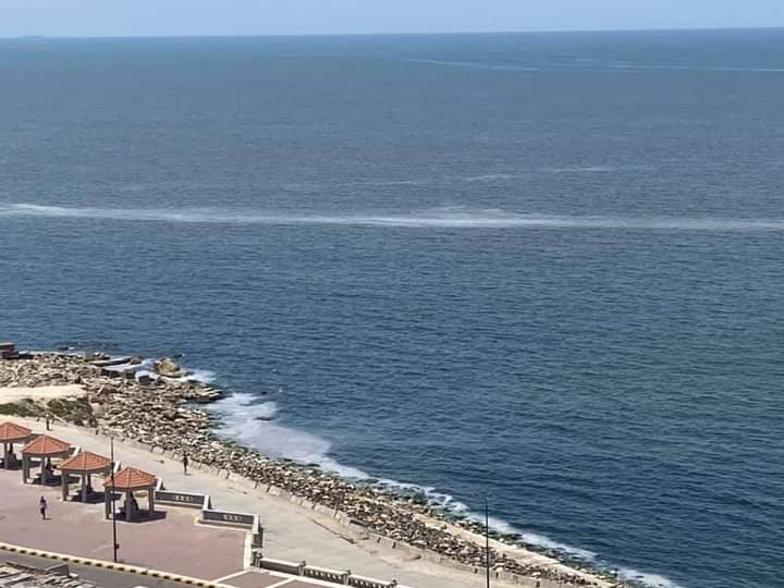 FB_IMG_1620237499600