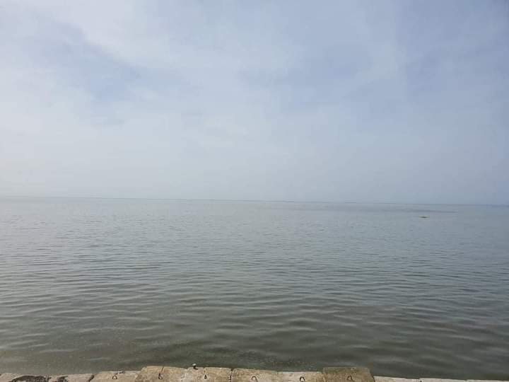 FB_IMG_1620238350810