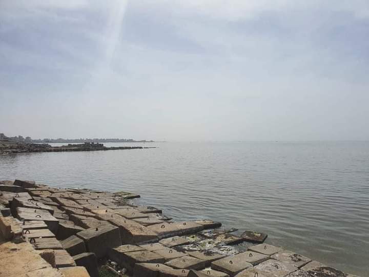 FB_IMG_1620238348342