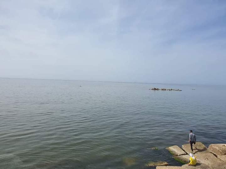 FB_IMG_1620238355482