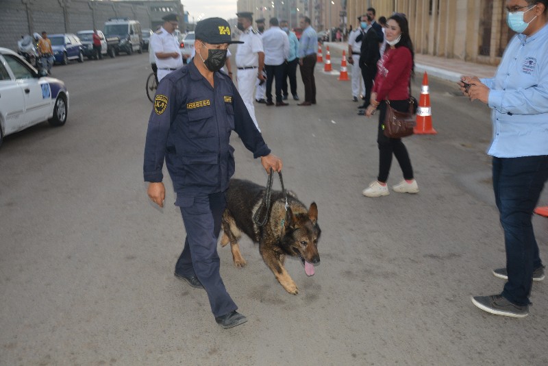 DSC_0483_copy_800x534_2