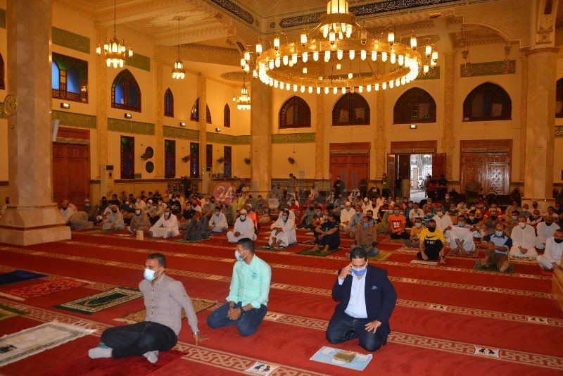 DSC_0490_copy_800x534_3