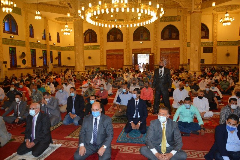 DSC_0493_copy_800x534_2