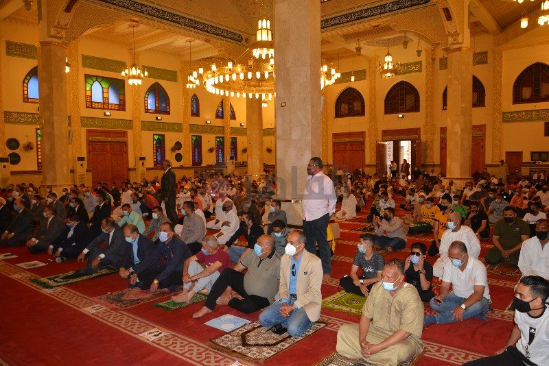 DSC_0496_copy_800x534_2